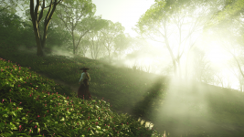 Ghost of Tsushima_20210820224722.png