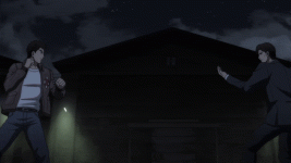 shenmuefightloop.gif