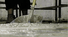 BinGekommen.gif