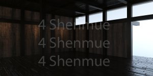 SHENMUE DOJO SAMPLE.jpg