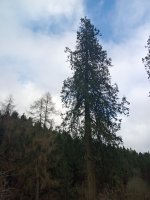 IMG20240315155039.jpg