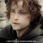 1574516533567.gif