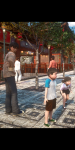 TX_ChobuPhoto_51_BC.png