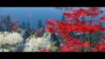 08D1C44A-FEEC-4615-BC78-6720B4D54BE5.jpeg