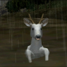 swimingdeer